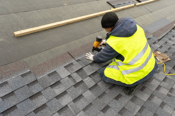 Best Metal Roofing Contractor  in Parkston, SD
