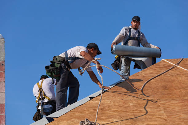 Roof Waterproofing Services in Parkston, SD