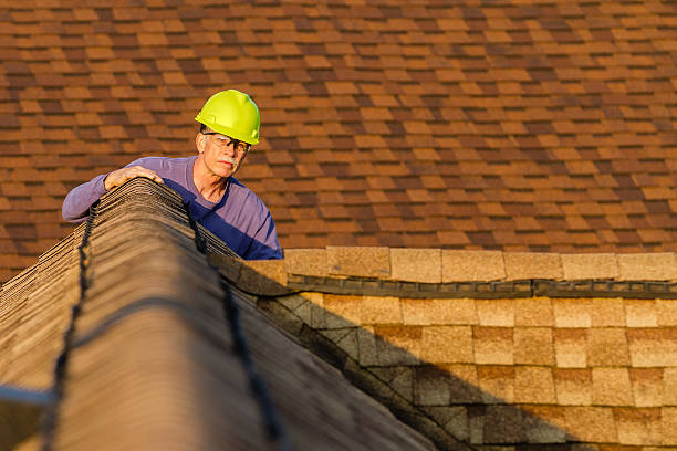 Best Roof Inspection Near Me  in Parkston, SD