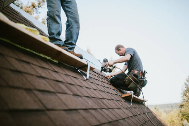 Best Roof Gutter Cleaning  in Parkston, SD